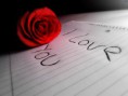 /album/laska/i-love-you-ruza-jpg/